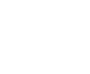 Carrier-Portfolio-Optimierung